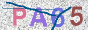 CAPTCHA Paveiksliukas